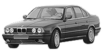 BMW E34 P1BD9 Fault Code